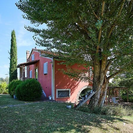 Il Vecchio Milipano Guest House Montepulciano Exterior photo